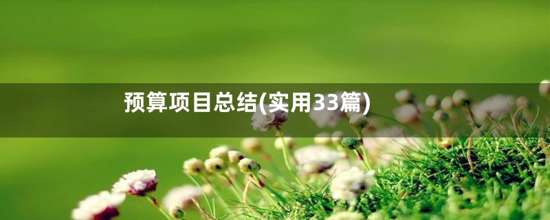 预算项目总结(实用33篇)