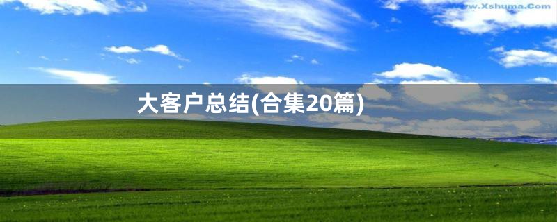 大客户总结(合集20篇)