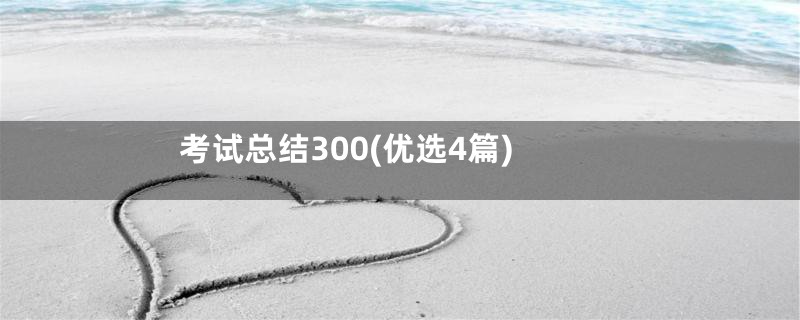 考试总结300(优选4篇)