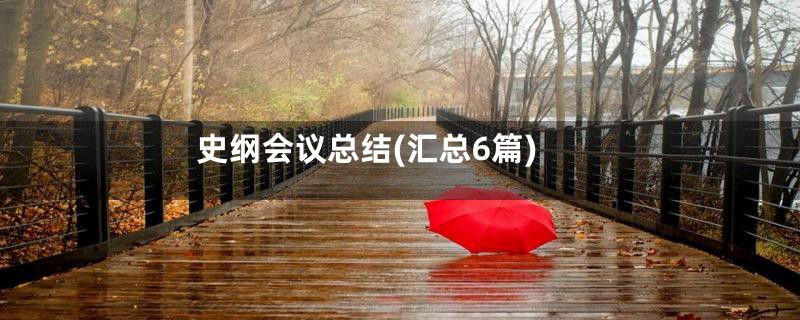 史纲会议总结(汇总6篇)