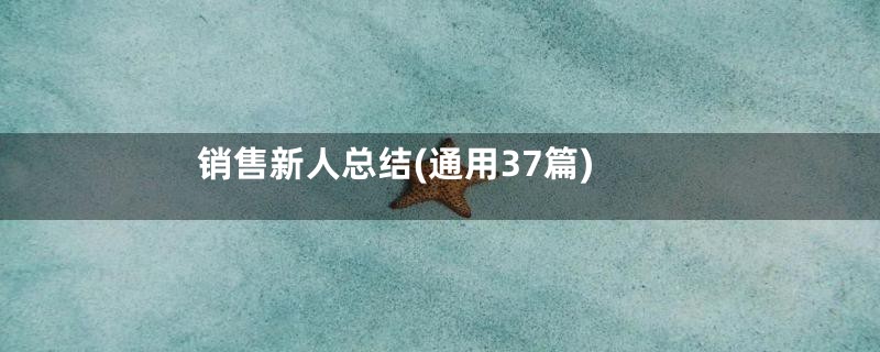 销售新人总结(通用37篇)