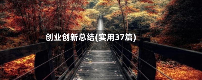 创业创新总结(实用37篇)