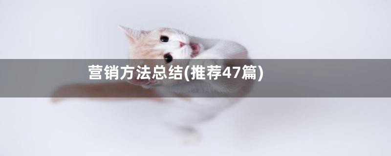 营销方法总结(推荐47篇)