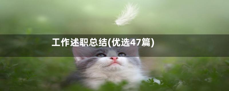 工作述职总结(优选47篇)