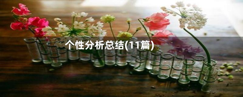 个性分析总结(11篇)