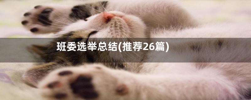 班委选举总结(推荐26篇)