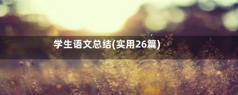 学生语文总结(实用26篇)