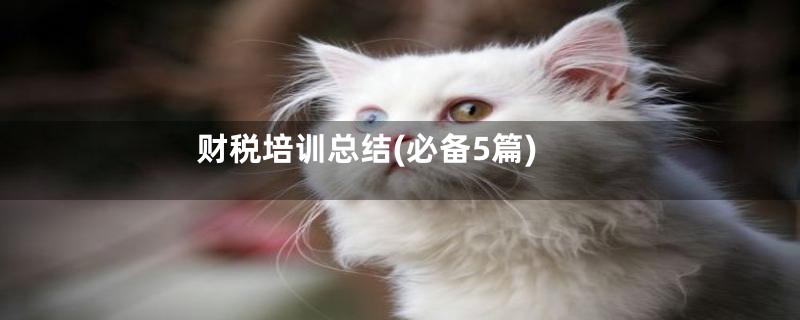 财税培训总结(必备5篇)