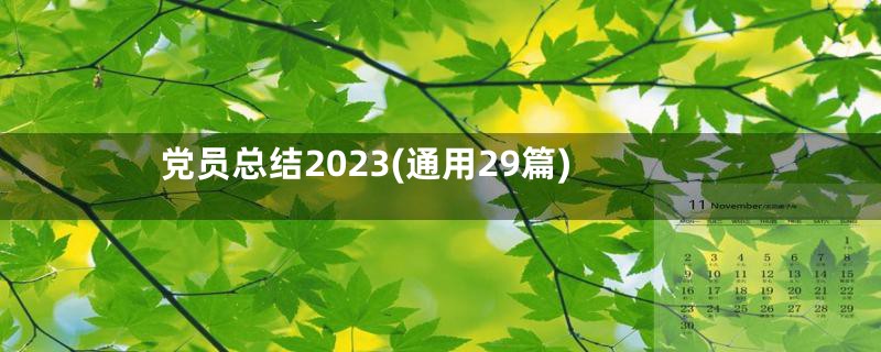 党员总结2023(通用29篇)