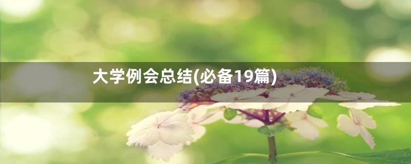 大学例会总结(必备19篇)