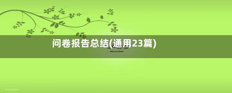 问卷报告总结(通用23篇)