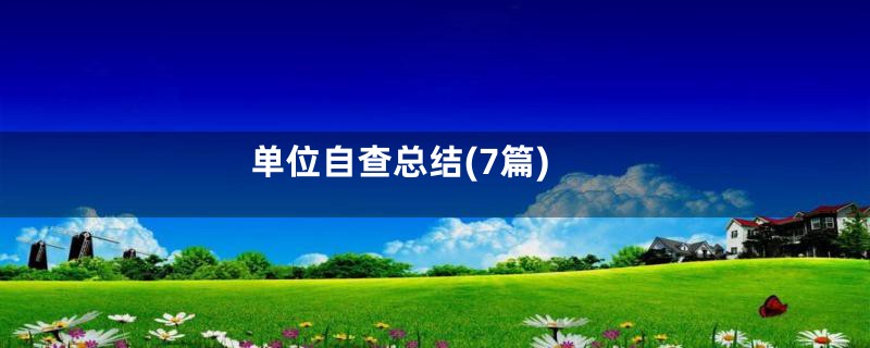 单位自查总结(7篇)