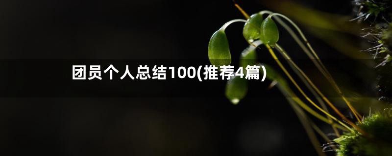 团员个人总结100(推荐4篇)