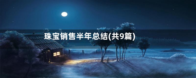 珠宝销售半年总结(共9篇)