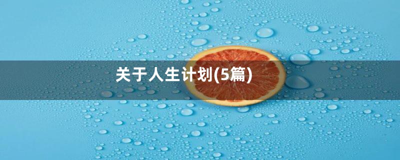 关于人生计划(5篇)