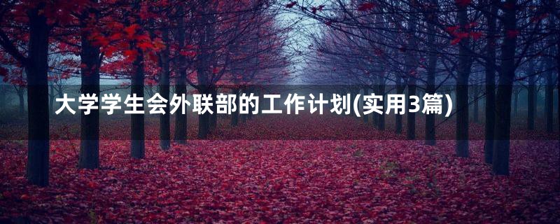 大学学生会外联部的工作计划(实用3篇)
