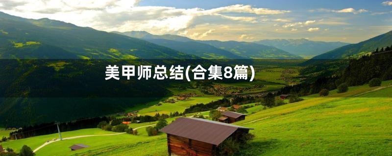 美甲师总结(合集8篇)