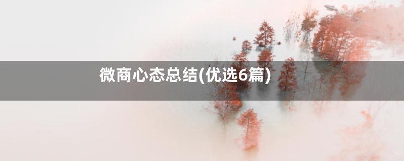 微商心态总结(优选6篇)