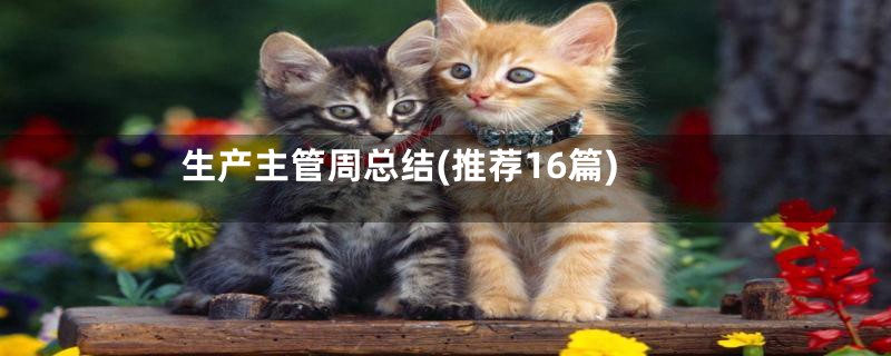 生产主管周总结(推荐16篇)