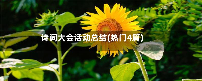 诗词大会活动总结(热门4篇)