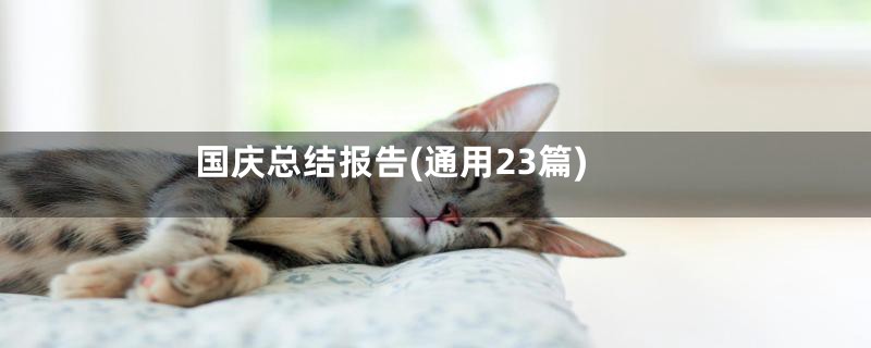 国庆总结报告(通用23篇)