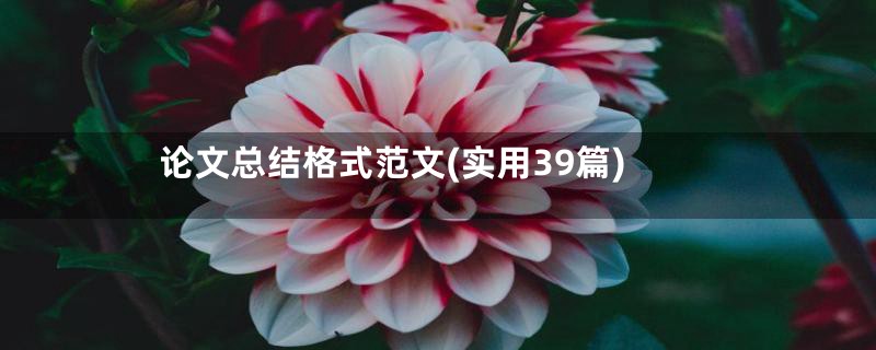 论文总结格式范文(实用39篇)