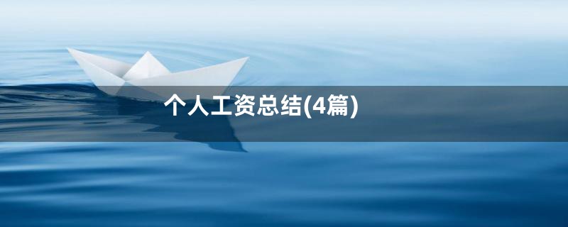 个人工资总结(4篇)