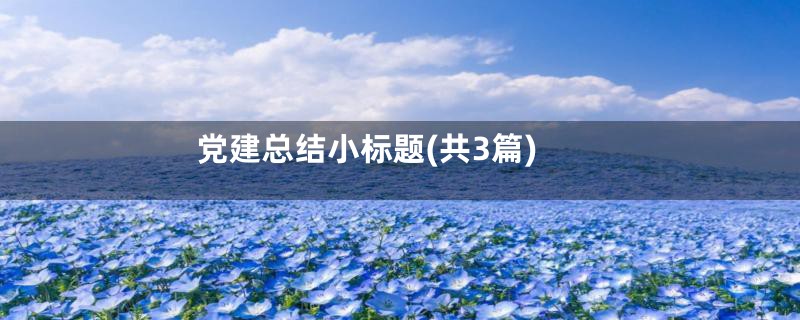 党建总结小标题(共3篇)