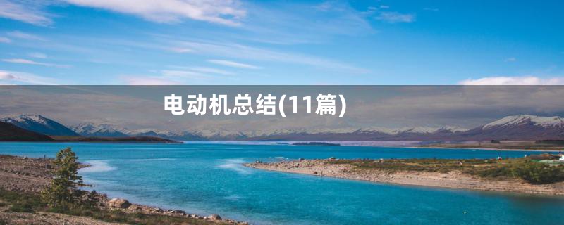 电动机总结(11篇)
