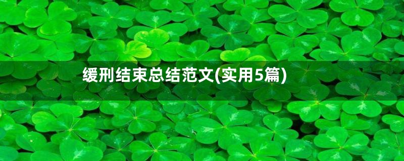 缓刑结束总结范文(实用5篇)