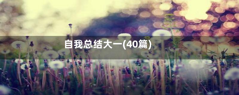 自我总结大一(40篇)
