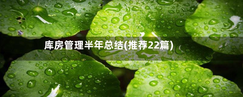 库房管理半年总结(推荐22篇)