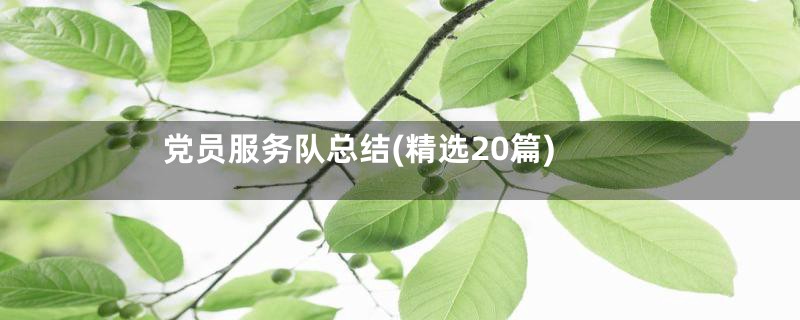 党员服务队总结(精选20篇)