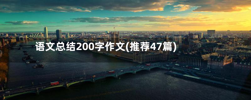 语文总结200字作文(推荐47篇)