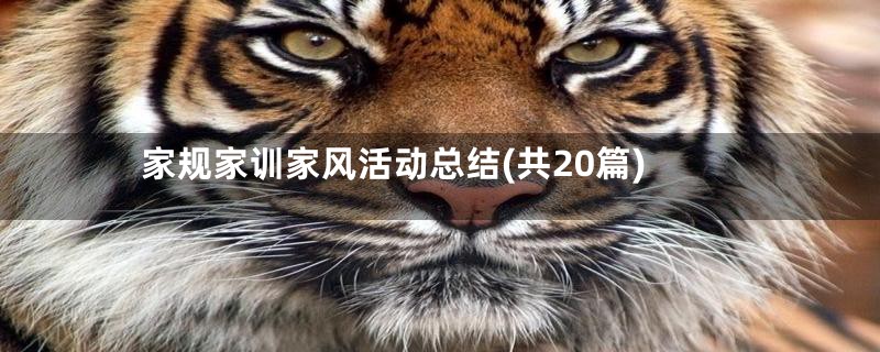 家规家训家风活动总结(共20篇)