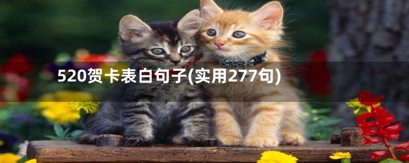 520贺卡表白句子(实用277句)