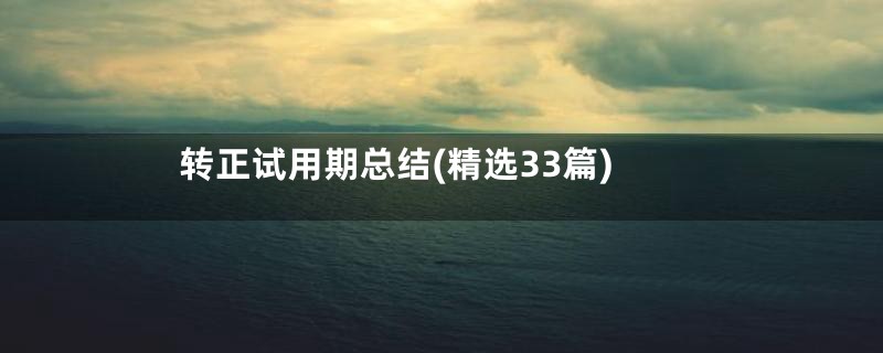 转正试用期总结(精选33篇)