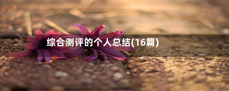 综合测评的个人总结(16篇)