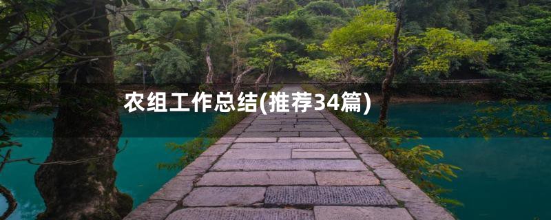 农组工作总结(推荐34篇)