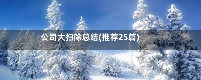 公司大扫除总结(推荐25篇)