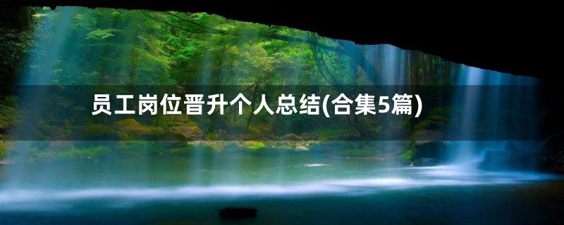员工岗位晋升个人总结(合集5篇)