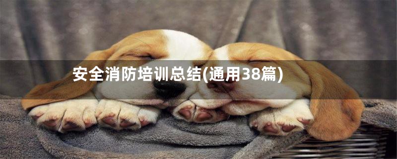 安全消防培训总结(通用38篇)