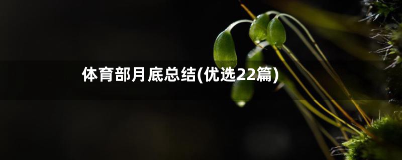 体育部月底总结(优选22篇)