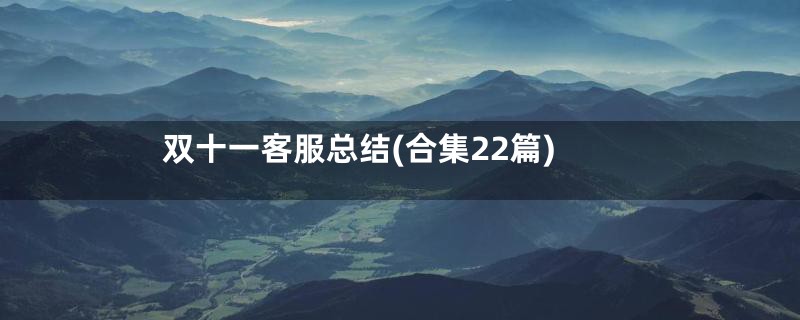 双十一客服总结(合集22篇)