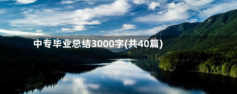 中专毕业总结3000字(共40篇)