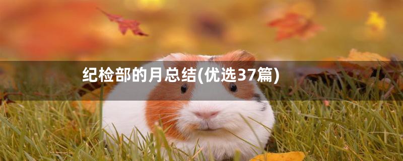 纪检部的月总结(优选37篇)