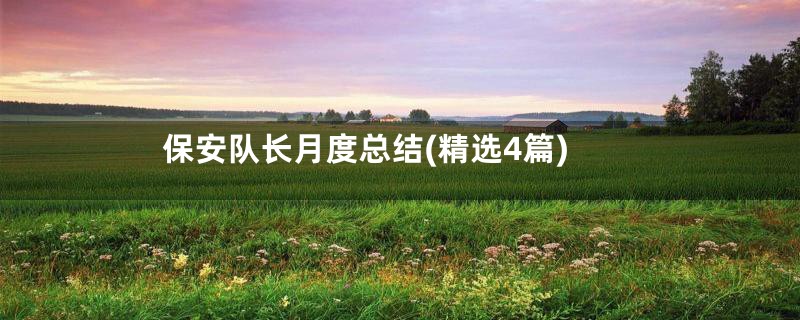 保安队长月度总结(精选4篇)