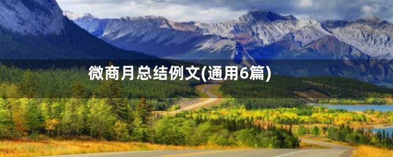 微商月总结例文(通用6篇)