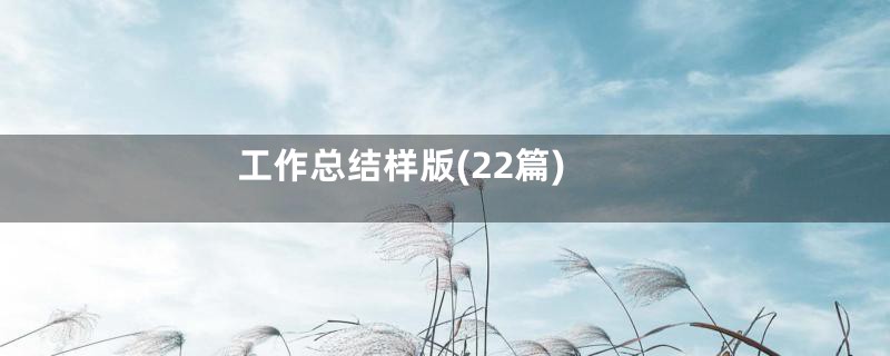 工作总结样版(22篇)