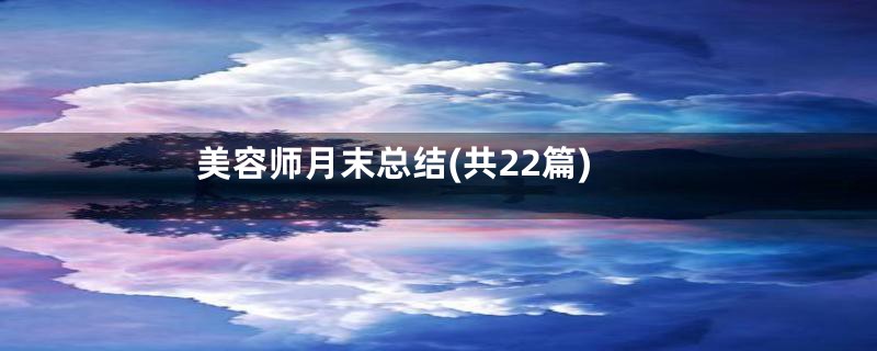 美容师月末总结(共22篇)